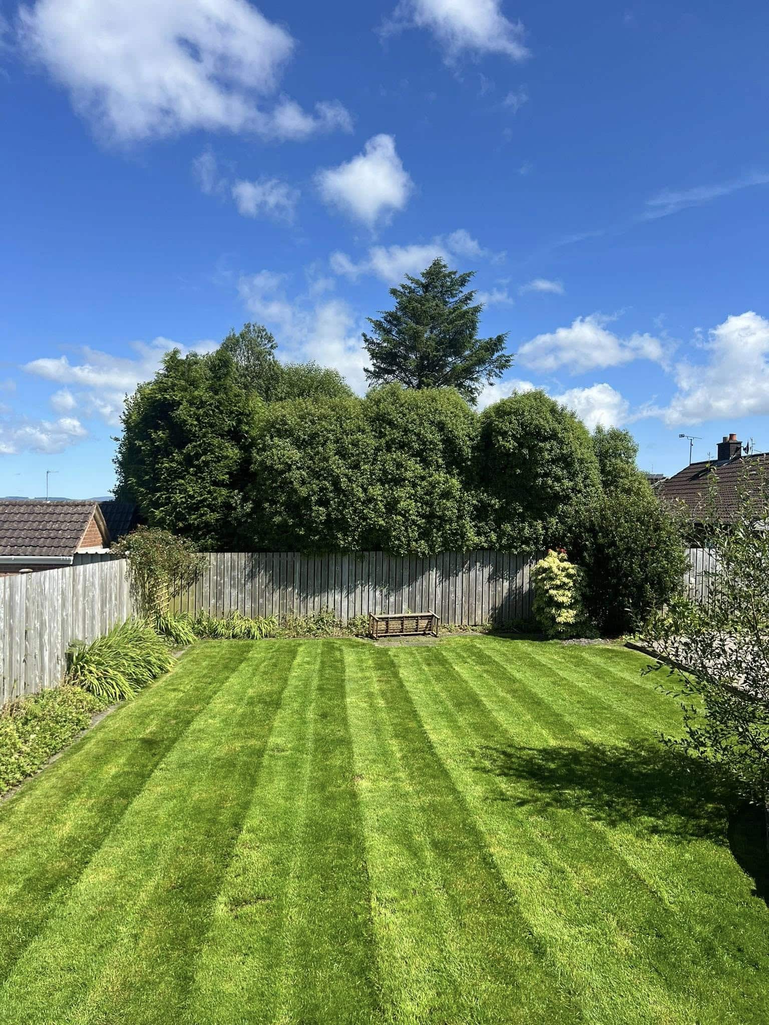 Healthy green lawn after treatment and freshly cut grass