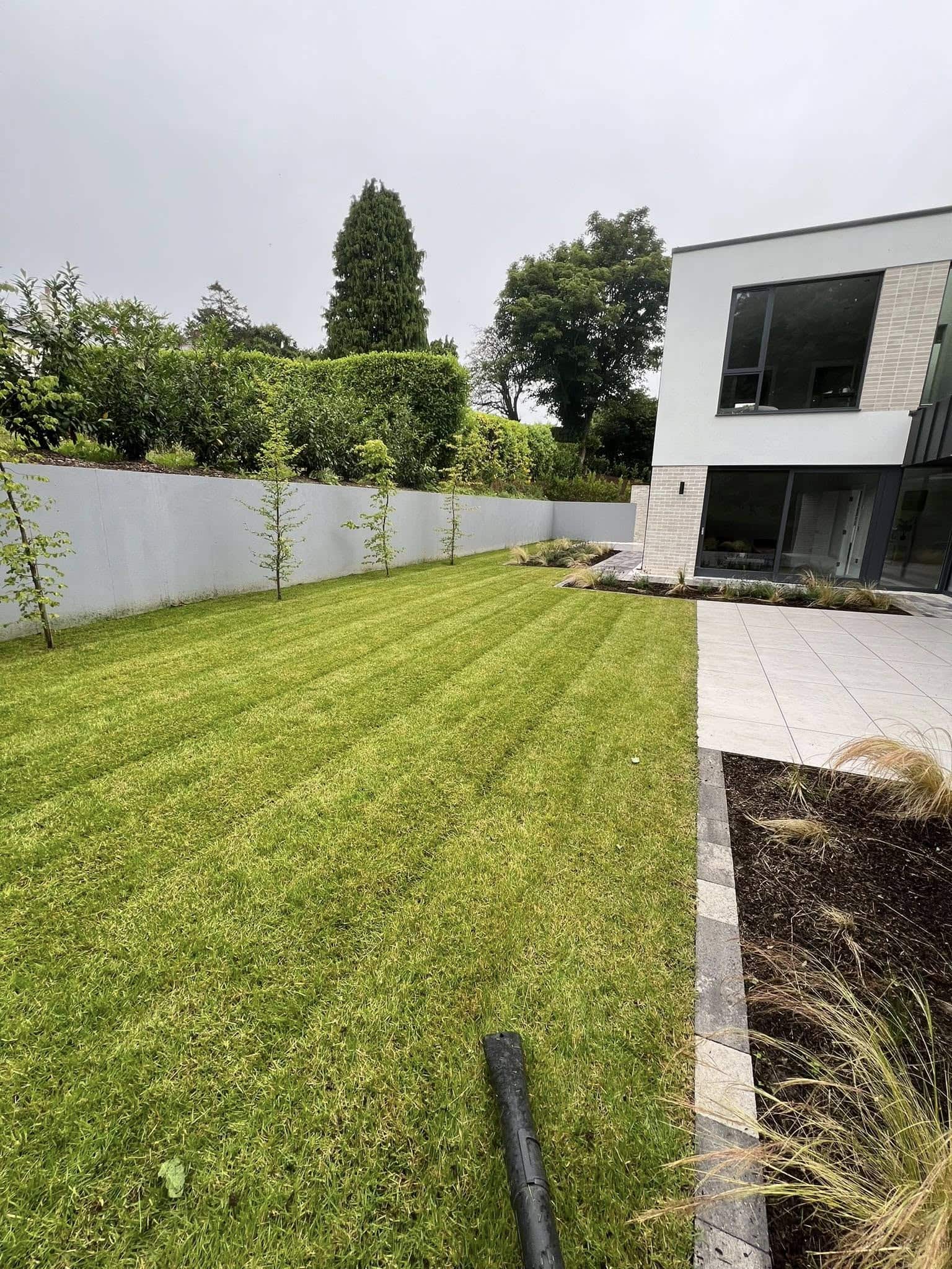 Healthy green lawn after treatment in Newtownabbey