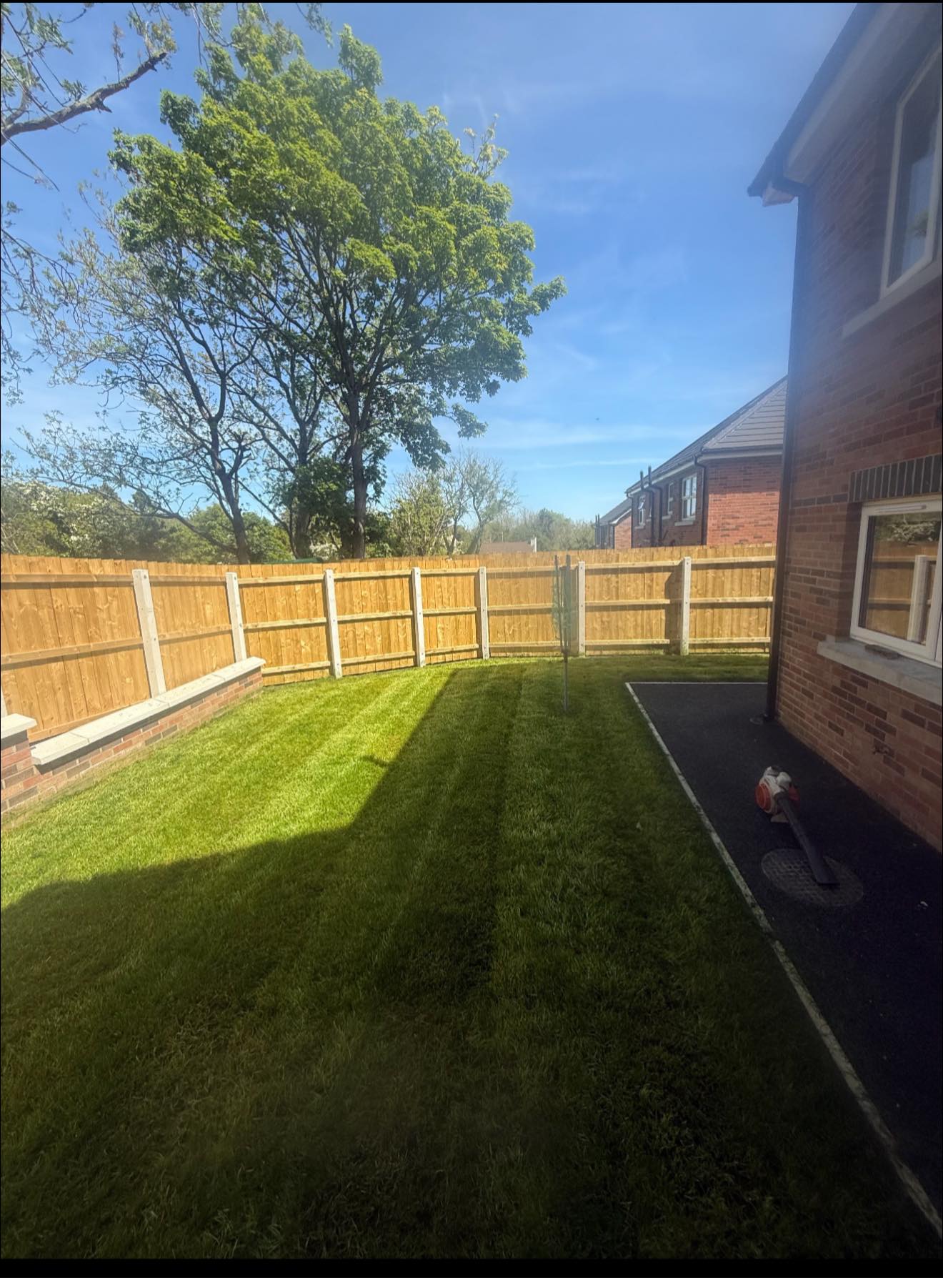 Professional lawncare services in Newtownabbey